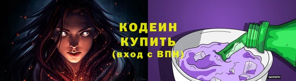 дживик Абаза