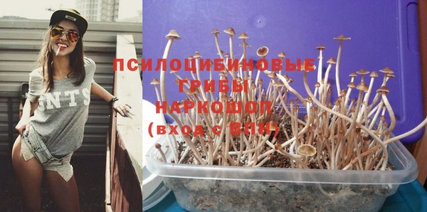 дживик Абаза
