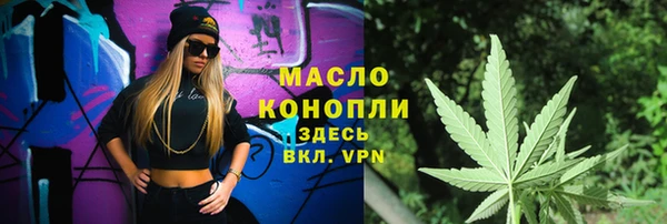 дживик Абаза