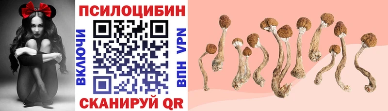 Галлюциногенные грибы мухоморы  хочу наркоту  Дрезна 